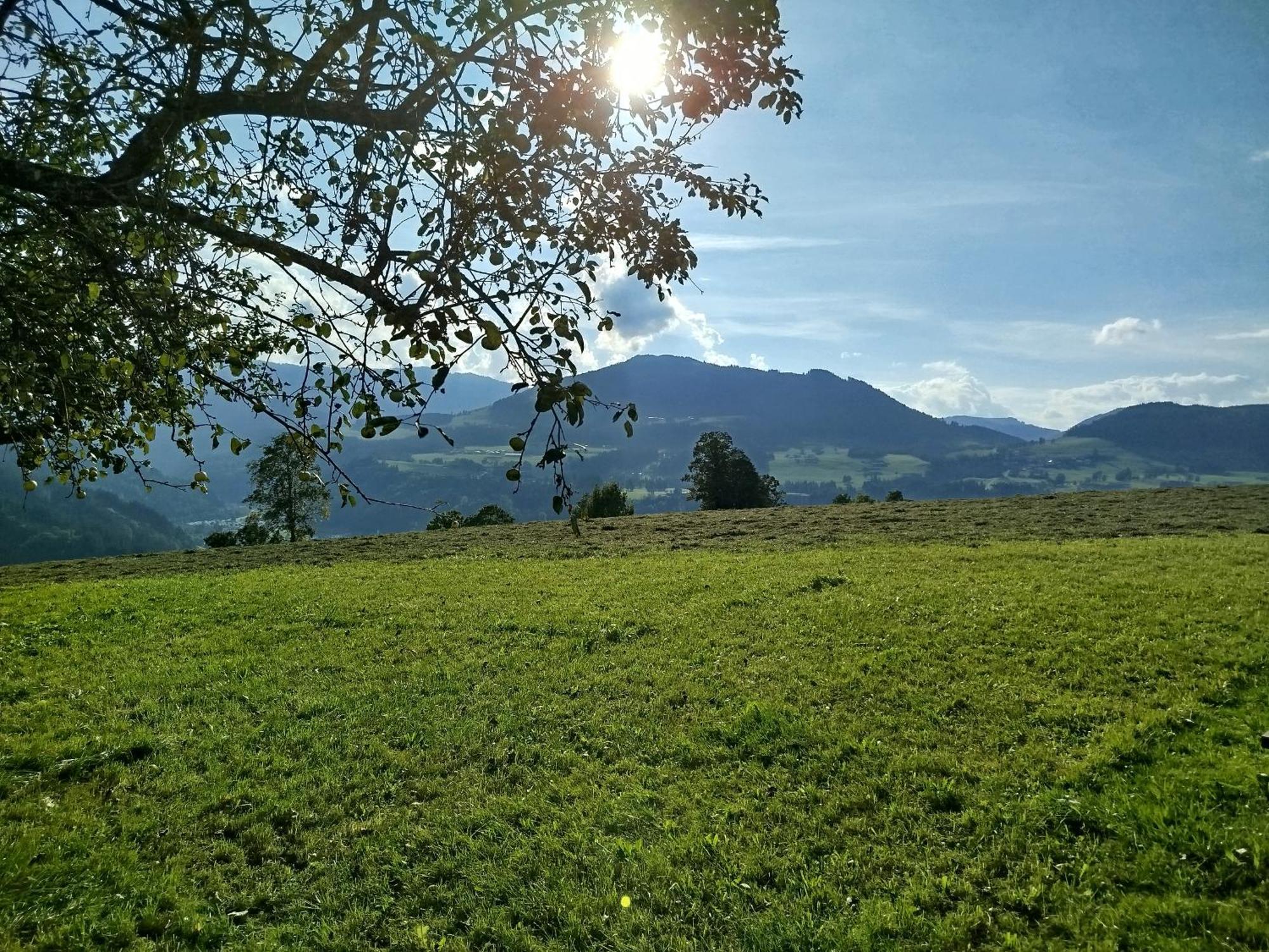 Biobauernhof Schuster Apartment Hopfgarten im Brixental Exterior photo